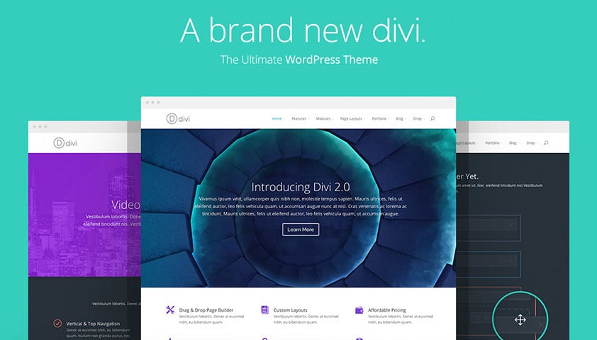 Divi WordPress Theme for Adsense