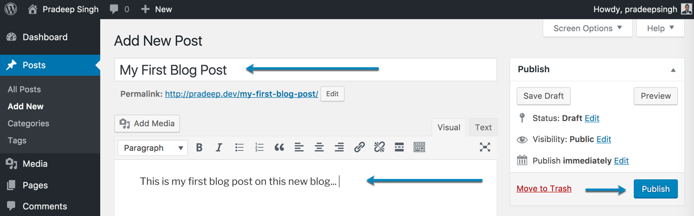 First Blog Post on New Blog WordPress