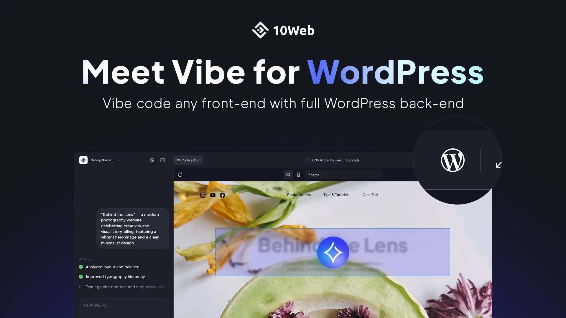 Vibe for WordPress Review