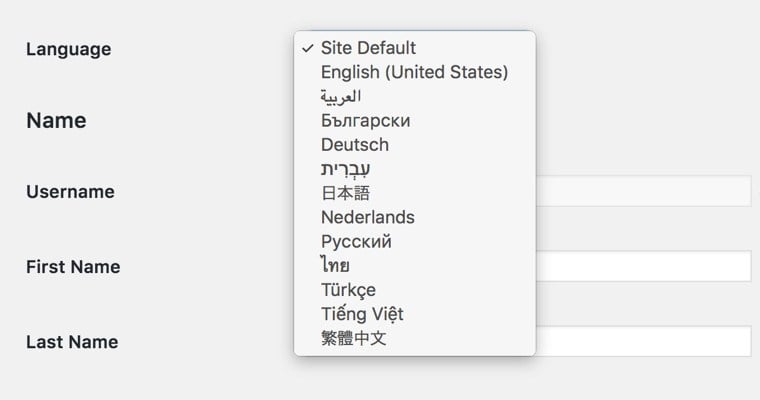 WordPress 4.7 Dashboard Language