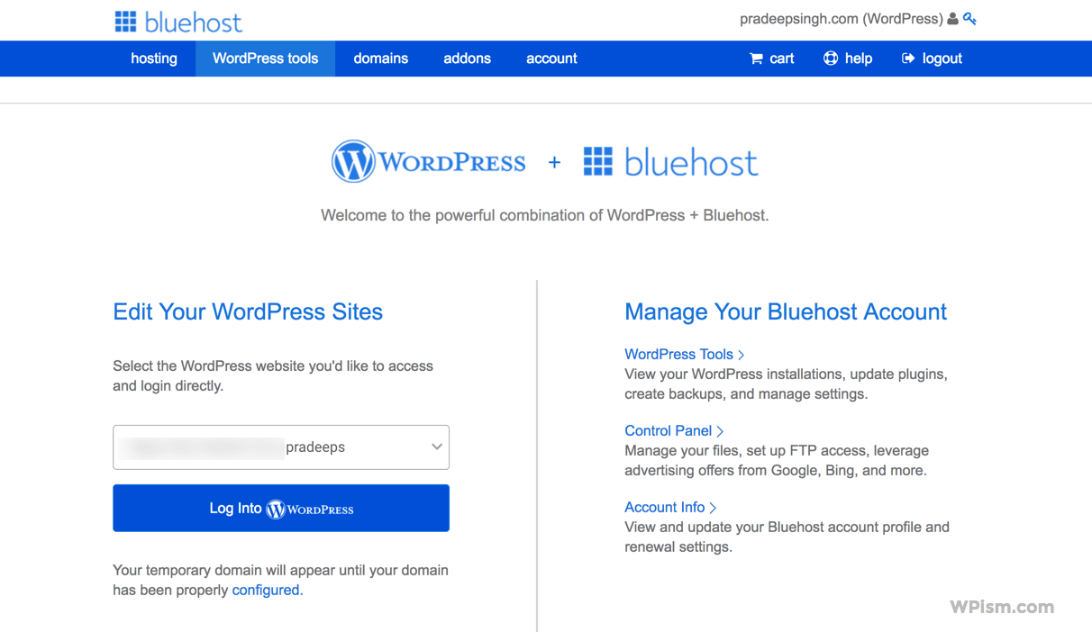 WordPress Hosting BlueHost Review Dashboard