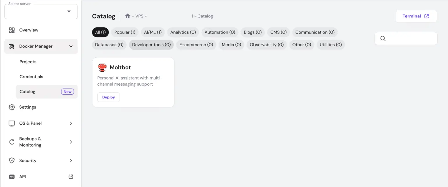 How to Install OpenClaw? Use This one-click Template Hostinger VPS 3 moltbot vps hosting docker